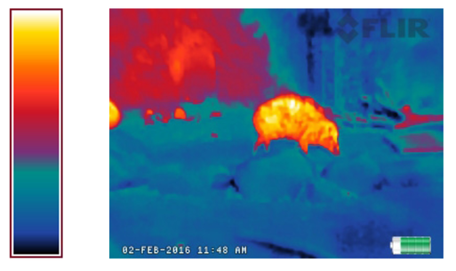 Jednou z funkcí kamery je funkce LAVA, která simuluje záři horké lávy proti studenému povrchu